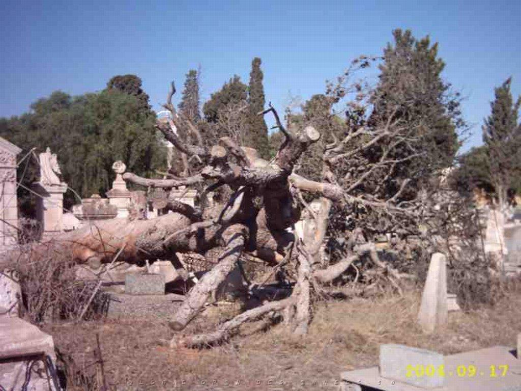 07 CIMETIERE TAMAZOUHET 03.JPG